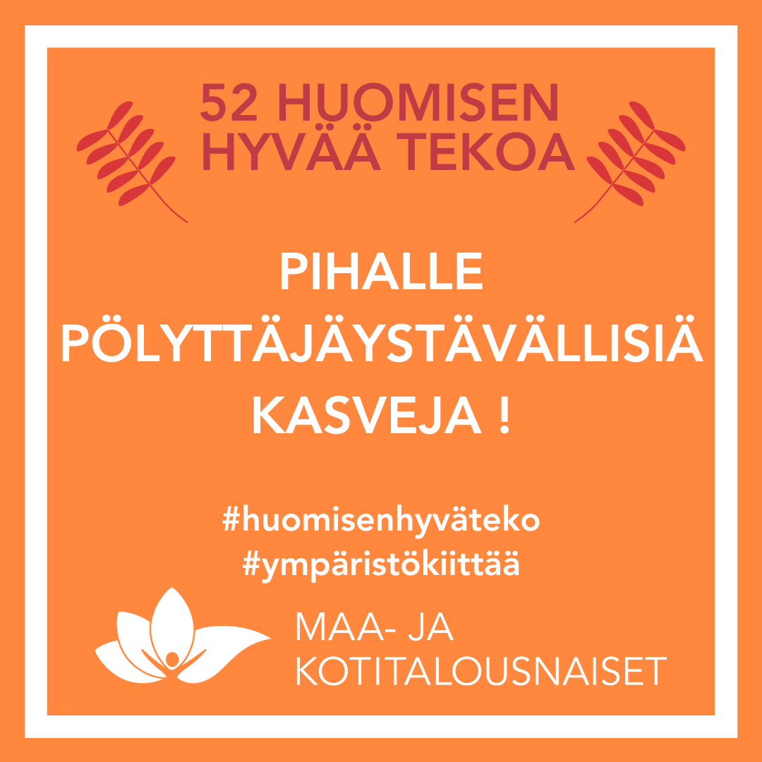 HHT_pihalle pölyttäjäystävällisiä kasveja