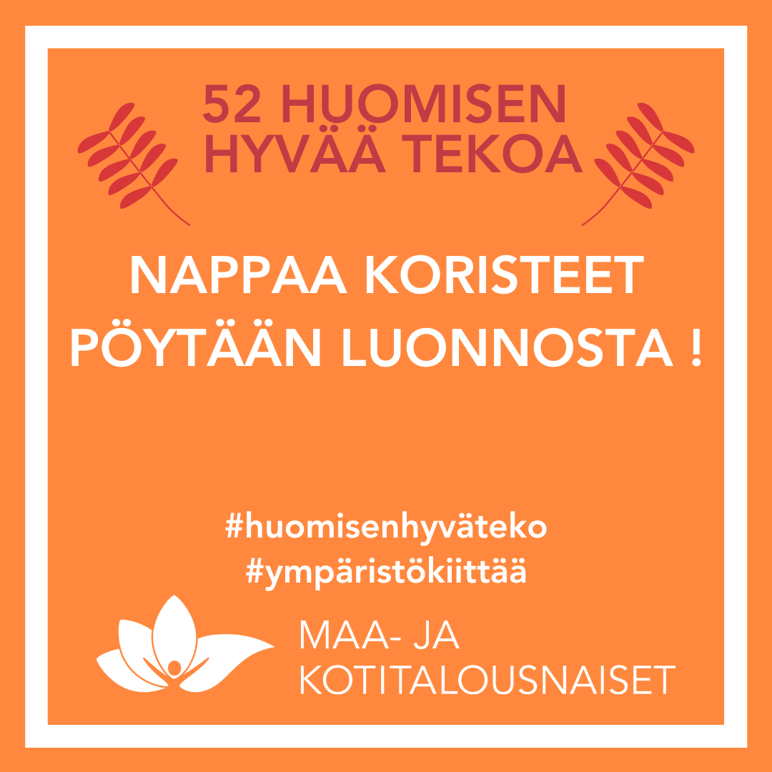 HHT_nappaa koristeet luonnosta