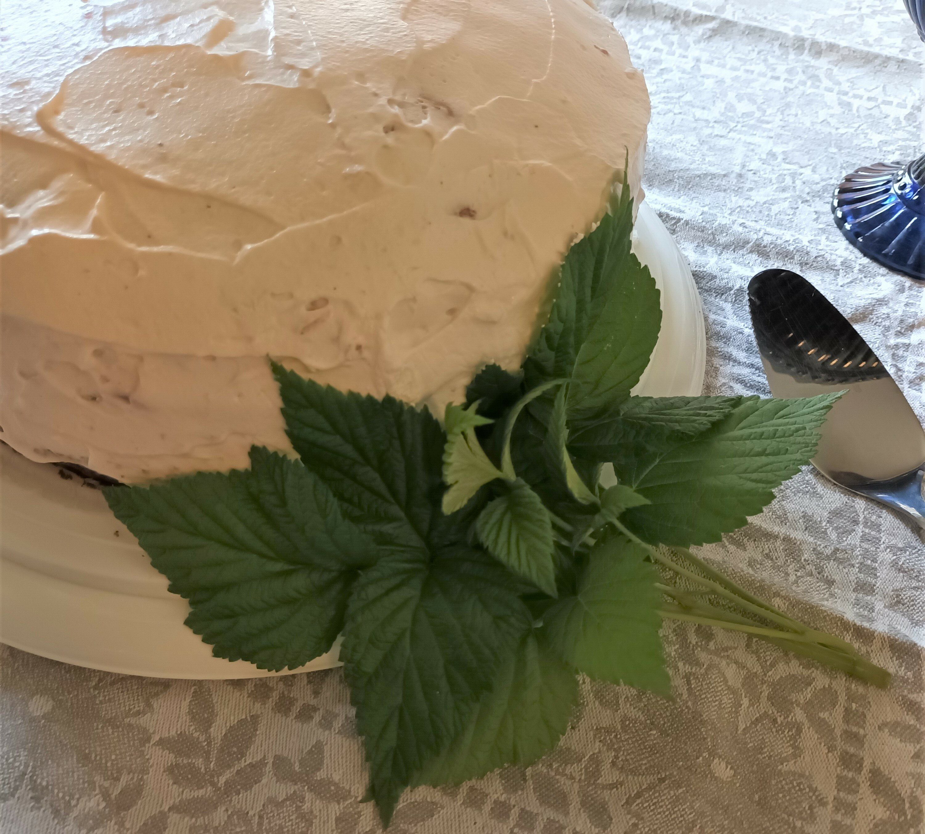 Vadelmanlehdillä koristeltu kakku