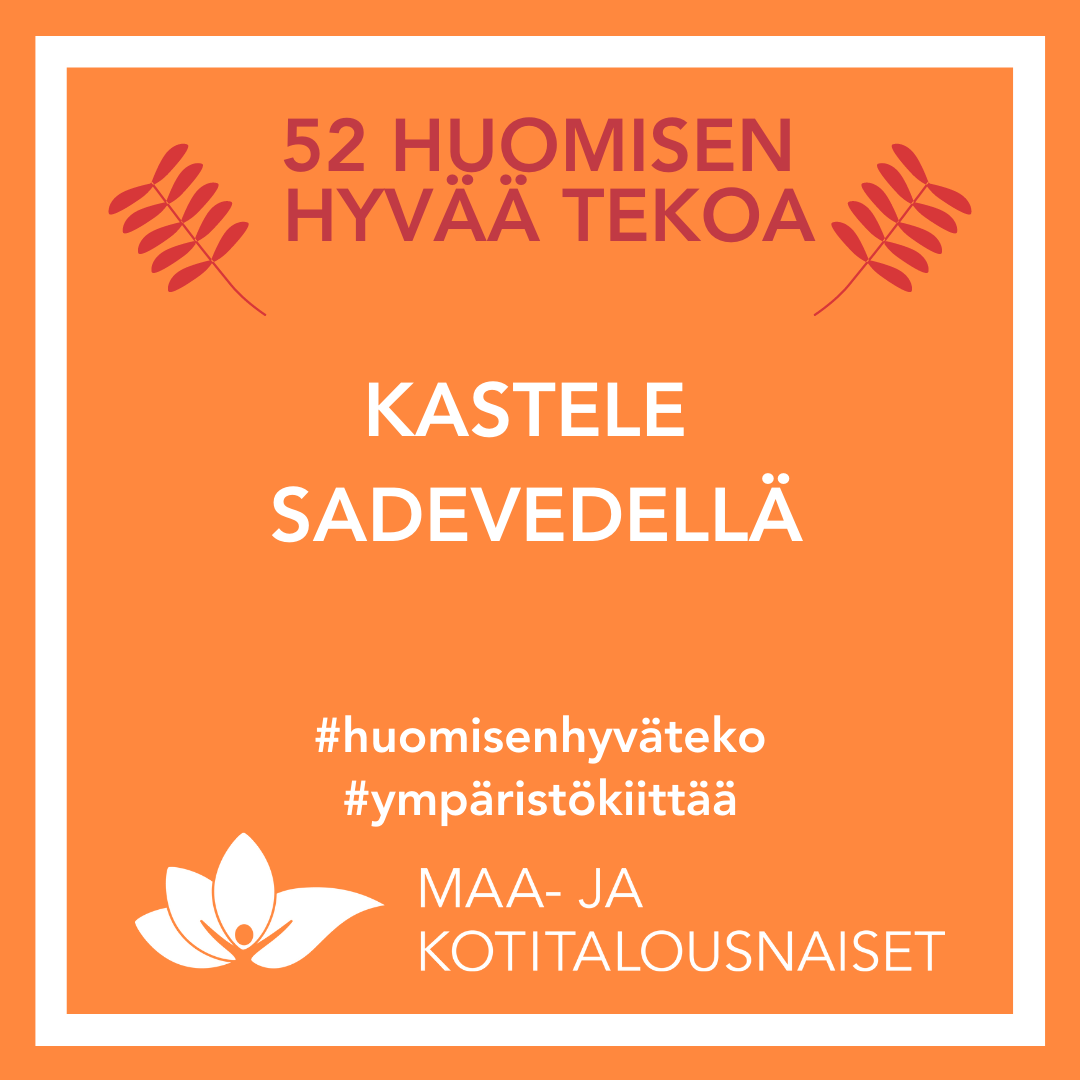 HHT_kastele sadevedellä