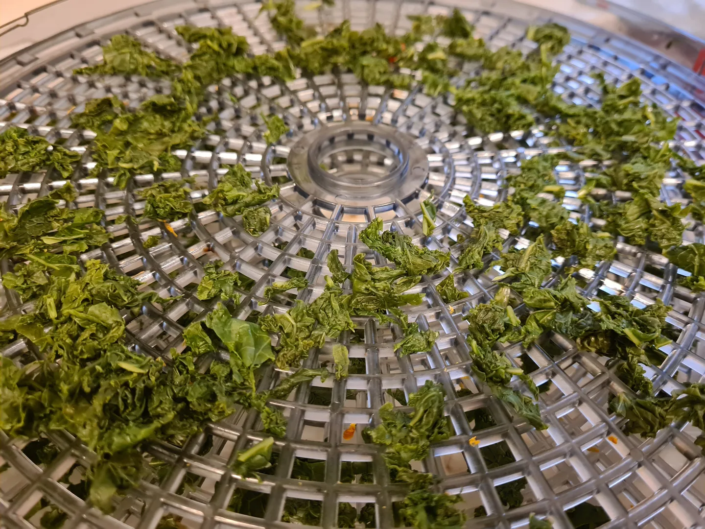 29 HHT blogikuva2 Hannele Veteli