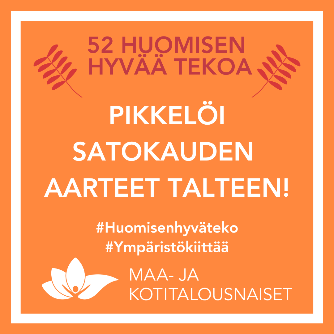 HHT_Pikkelöi sato talteen