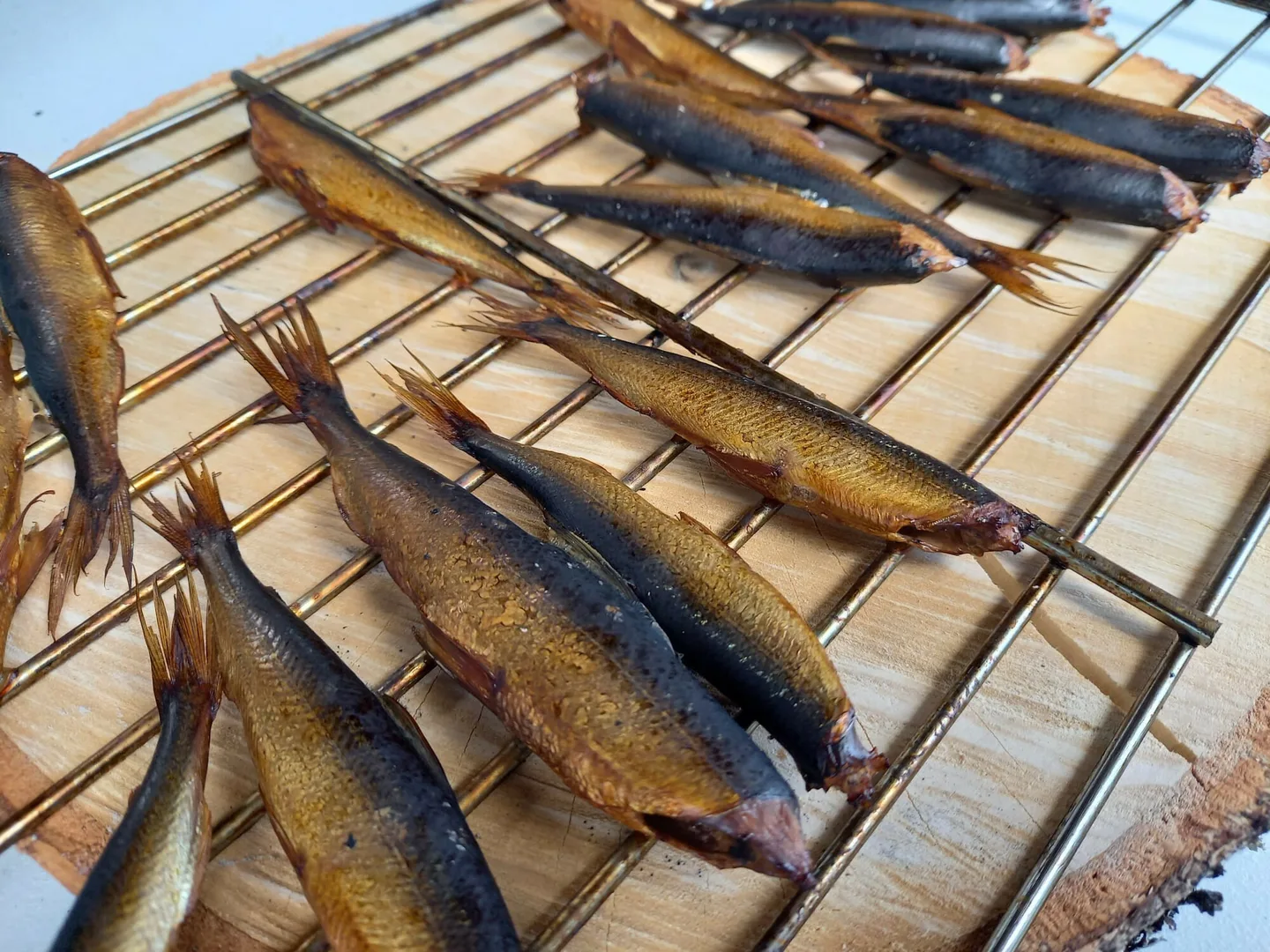 33 HHT Muikut Maarit Satomaa