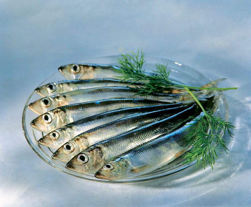 Silakat lautasella_kuva Pro Kala