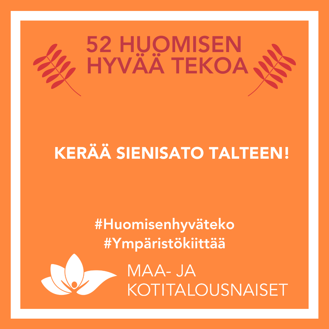 HHT_sienisato talteen
