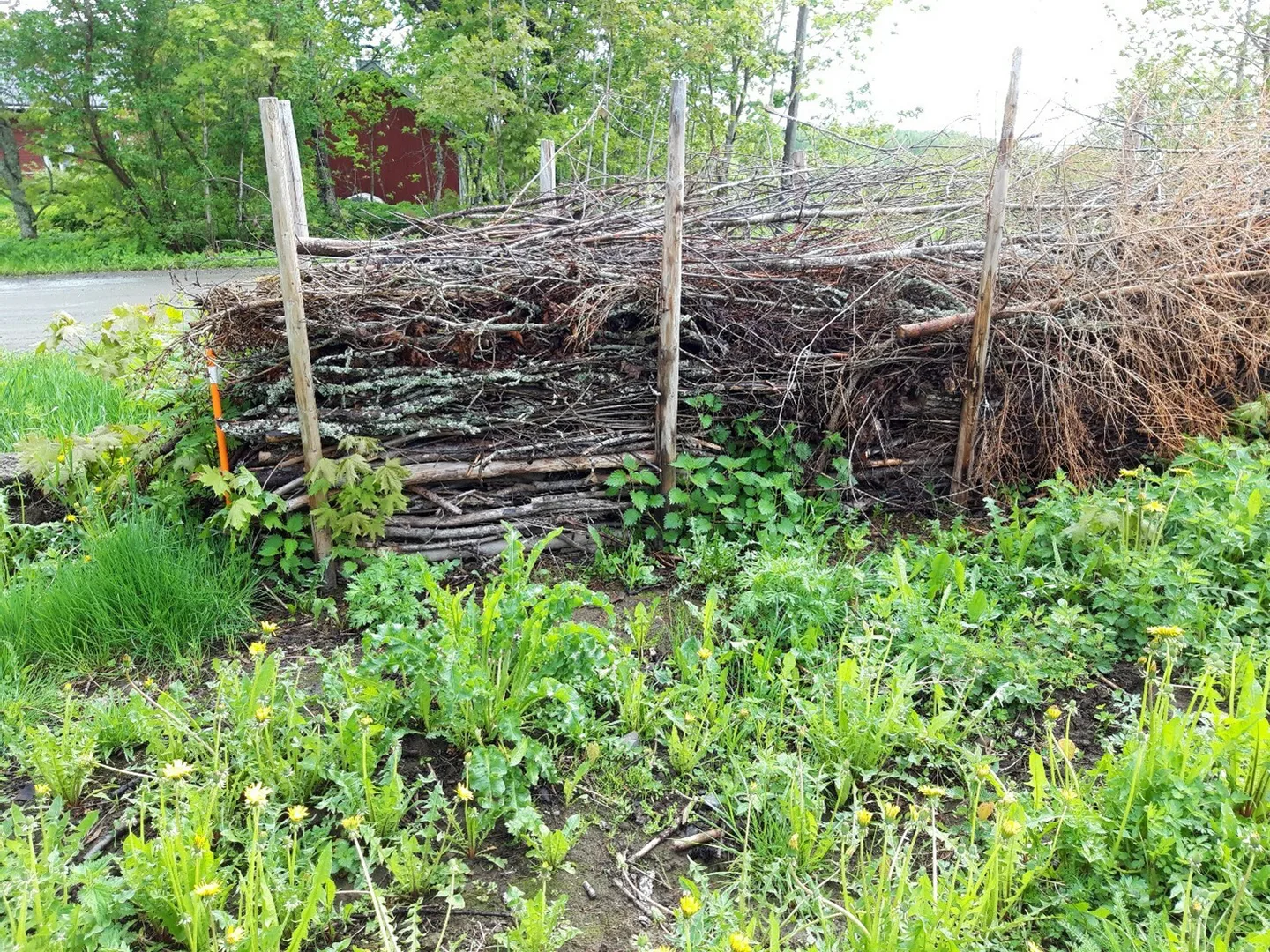 38 HHT risuaita kuva Paivi Jokinen