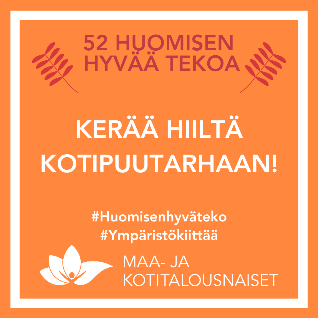 HHT kerää hiiltä kotipuutarhaan