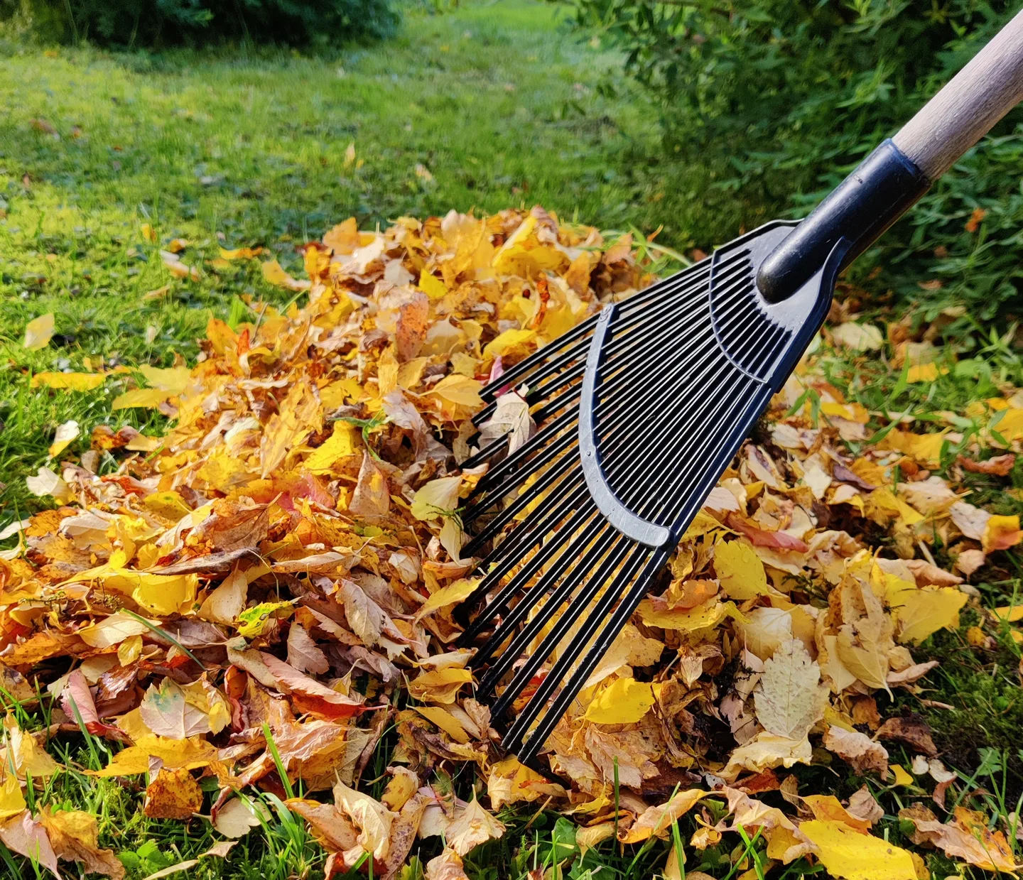 41 HHT blogikuva harava