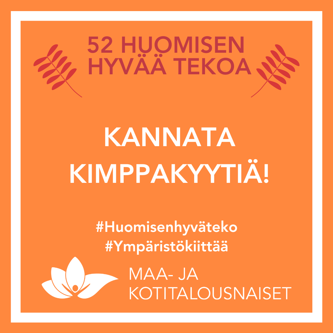 HHT kimppakyyti