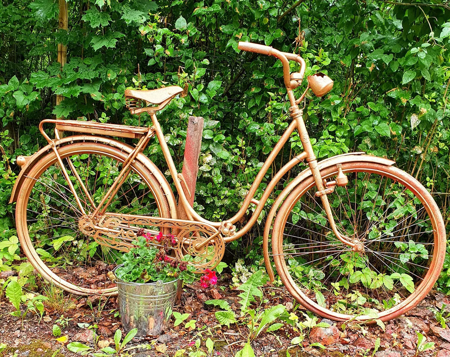 42 HHT fillari kuva Hannele Veteli