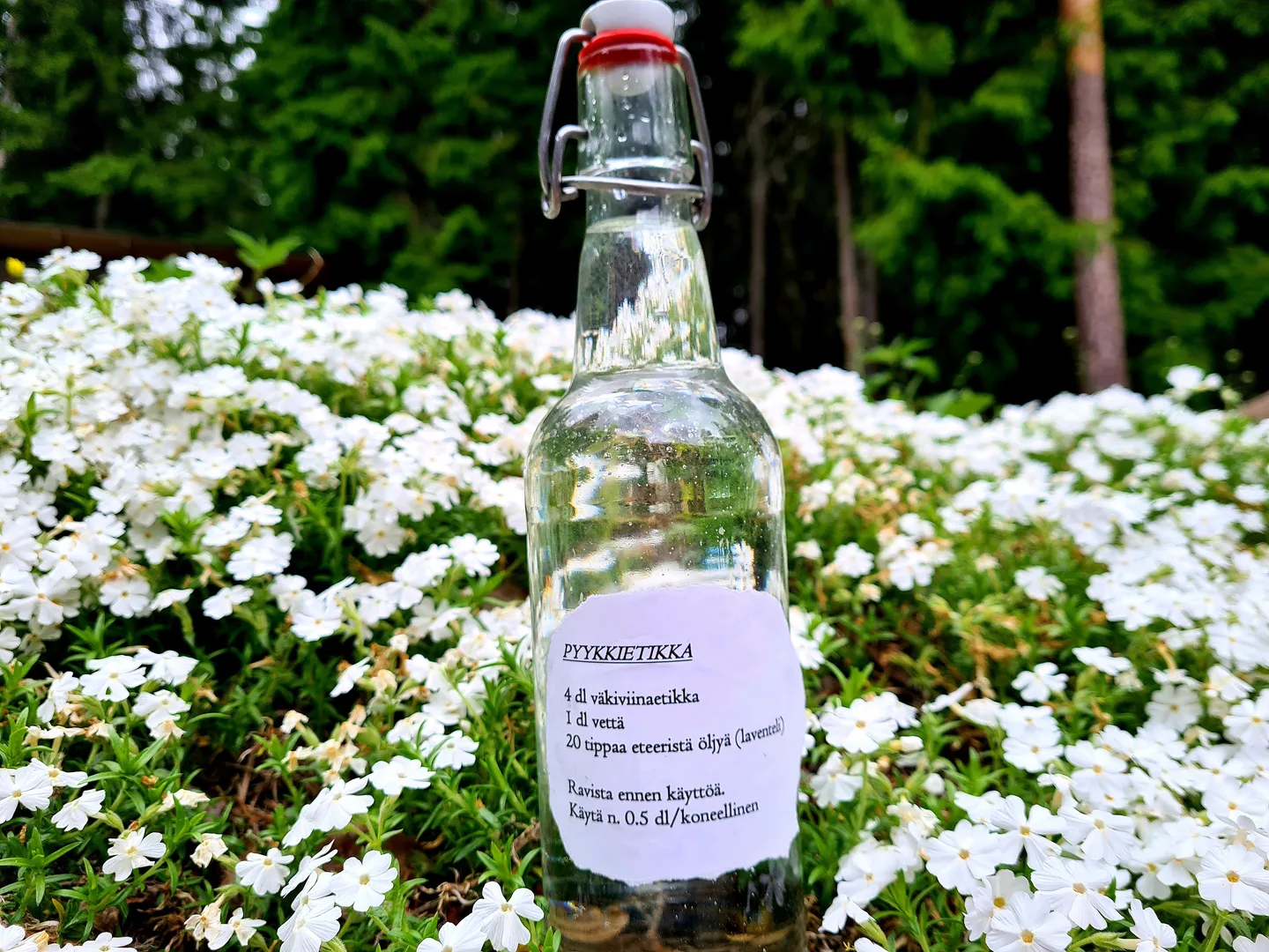 46 HHT Pyykkietikka Hannele Veteli