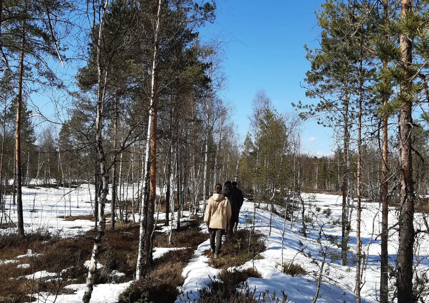 MKN otsikko Puolamaki