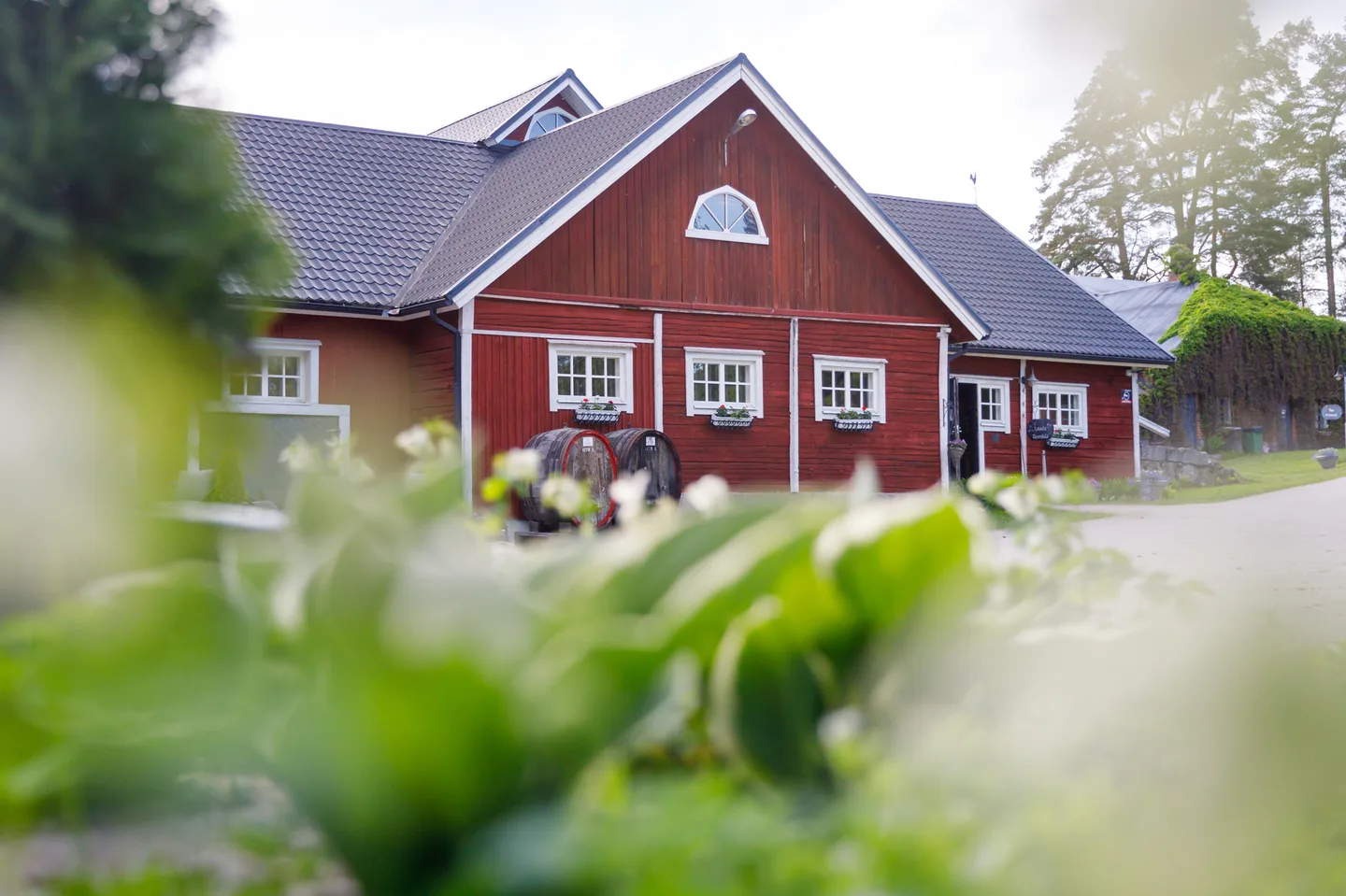 Rönnvikin viinitilan punainen päärakennus