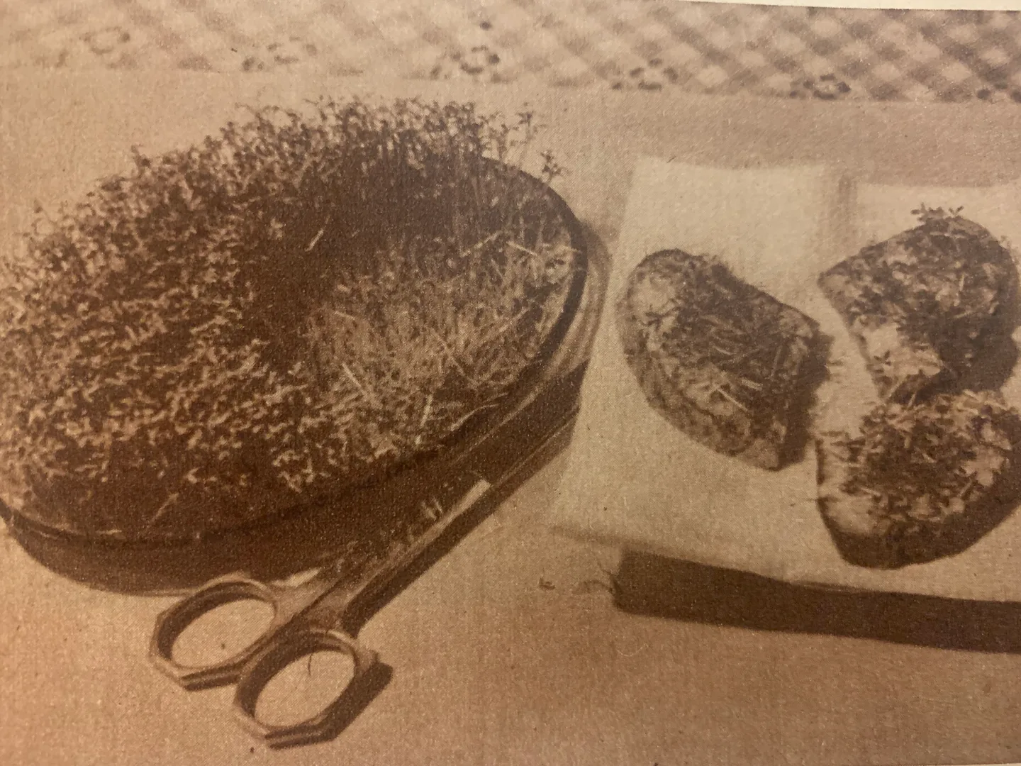 6 MKN90 blogi KUVA versot