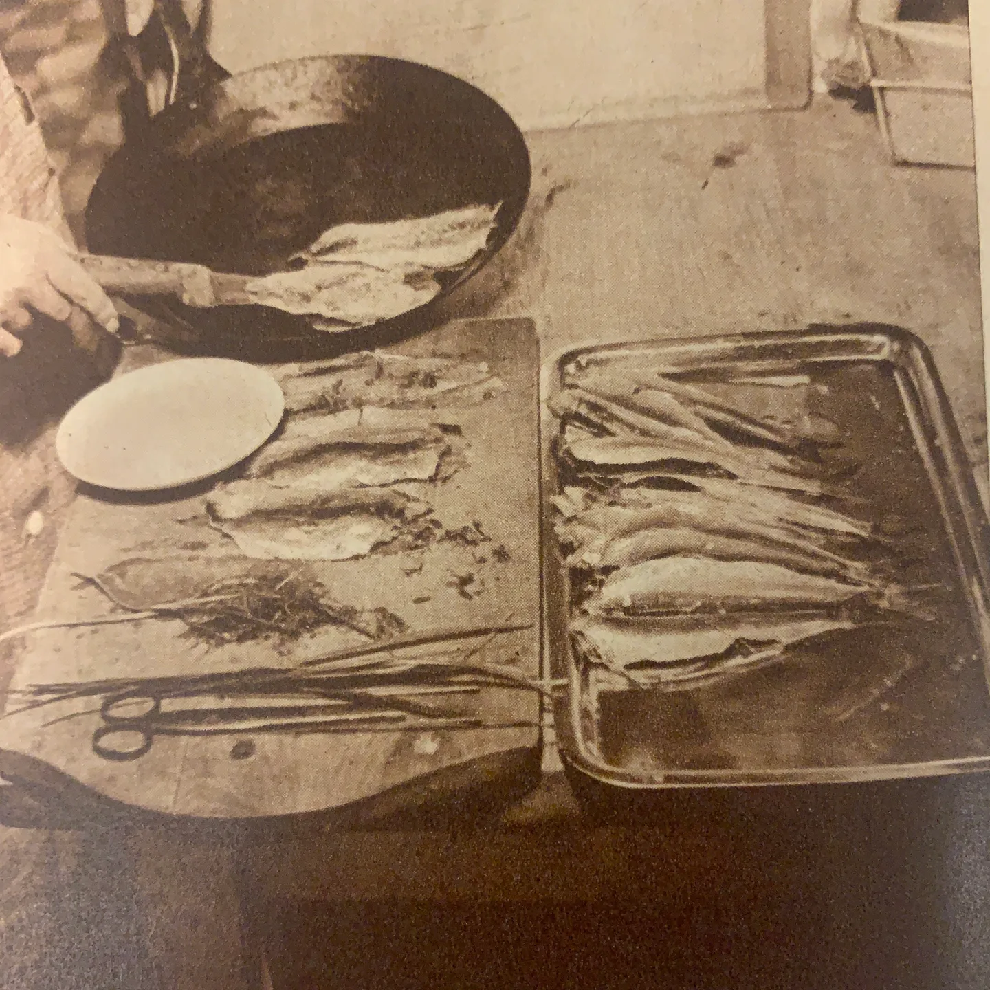 MKN_vanha_valokuva_silakoista