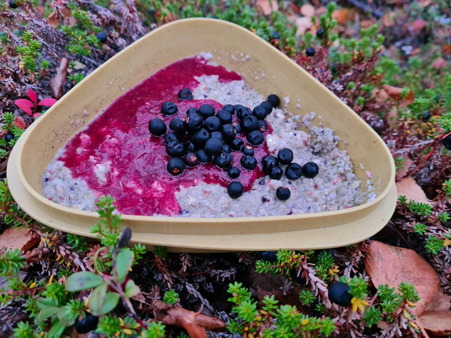 Puuroa ja marjoja retkiastiassa varvukossa kuva Hannele Veteli