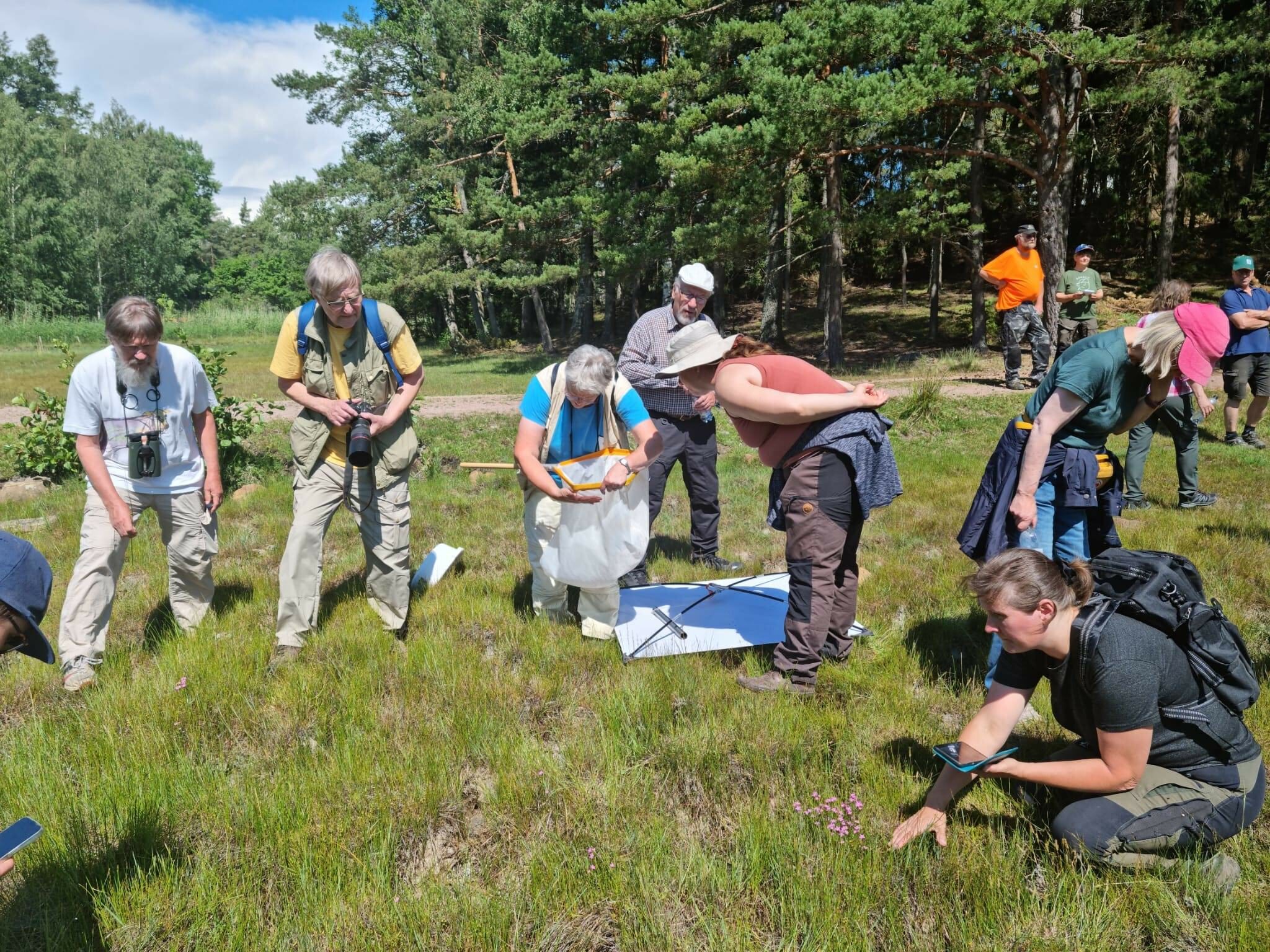 Lajien tunnistaminen kiinnostaa.