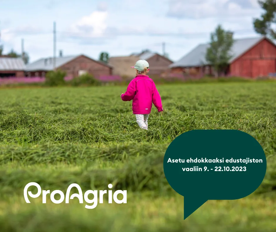 Asetu ehdokkaaksi kuva