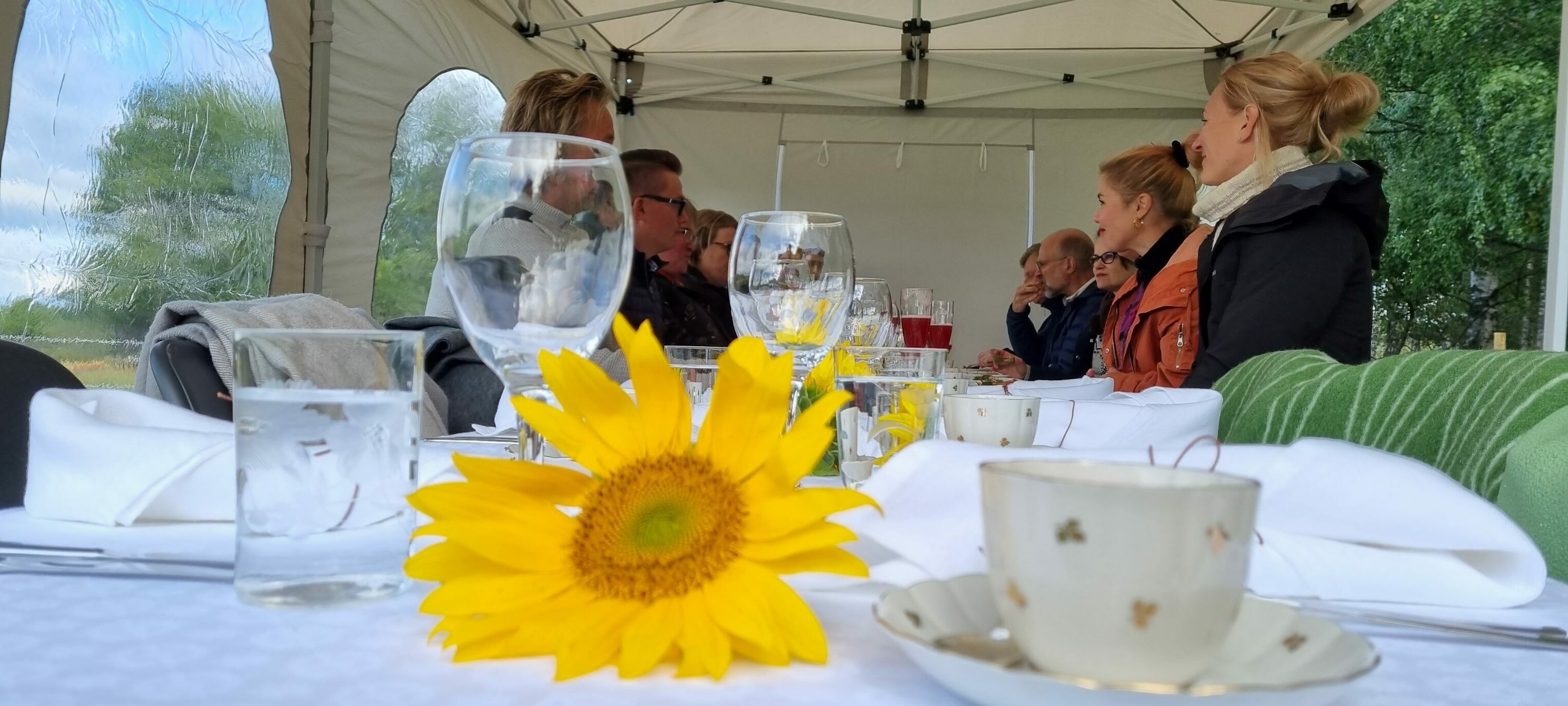 Ruokapöydässä lehmälaitumella