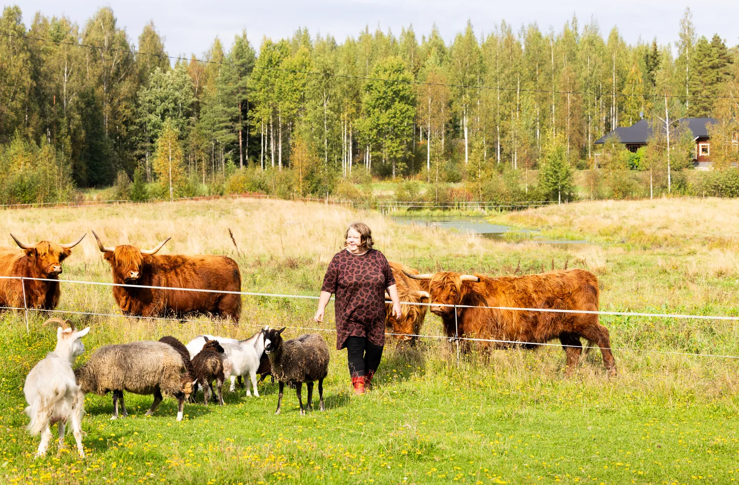 IMG 0840 Leea Ohtamaa