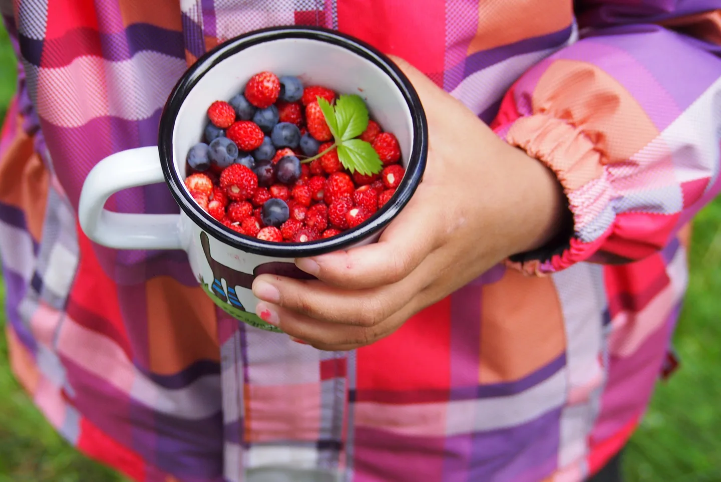 Kuvia suomesta laura ekman 1 1