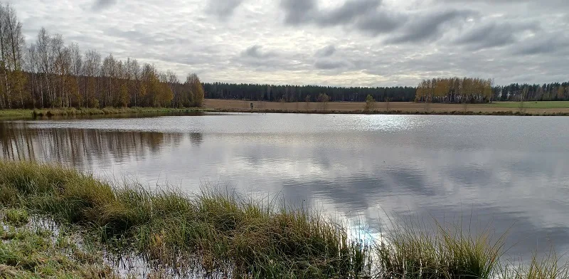 20231019 121441 sahinjoki laskeutusallas