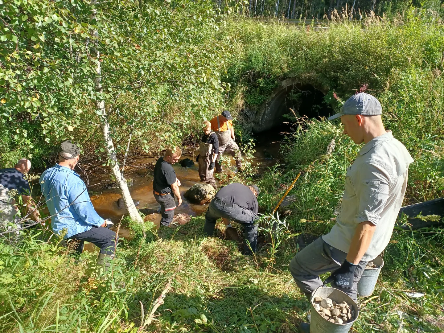 Virtaa Pielisen pintaan