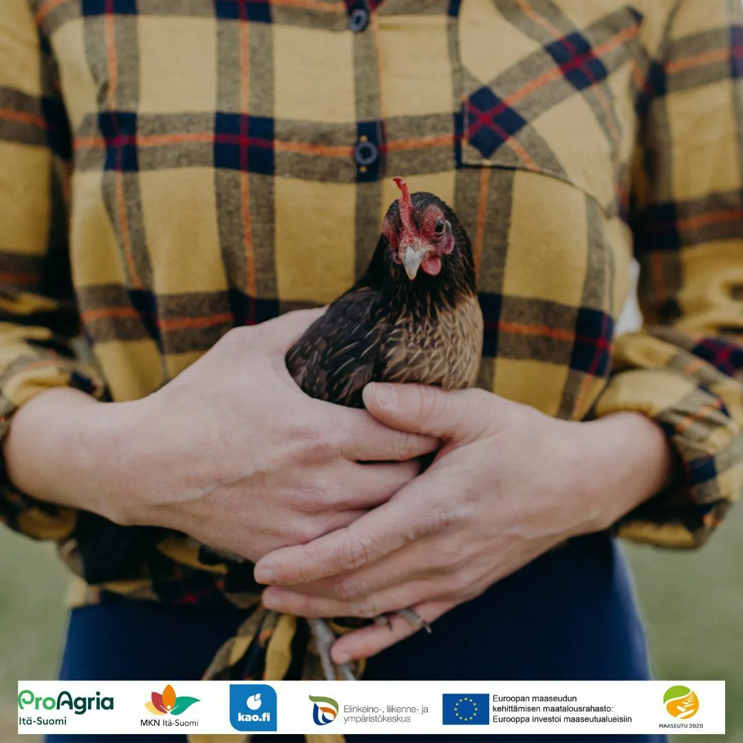 Ohjelmapalveluiden pilottiasiakkaaksi