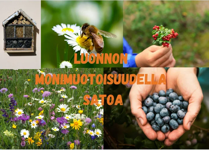 Luonnonmonimuotoisuudella satoa kuva