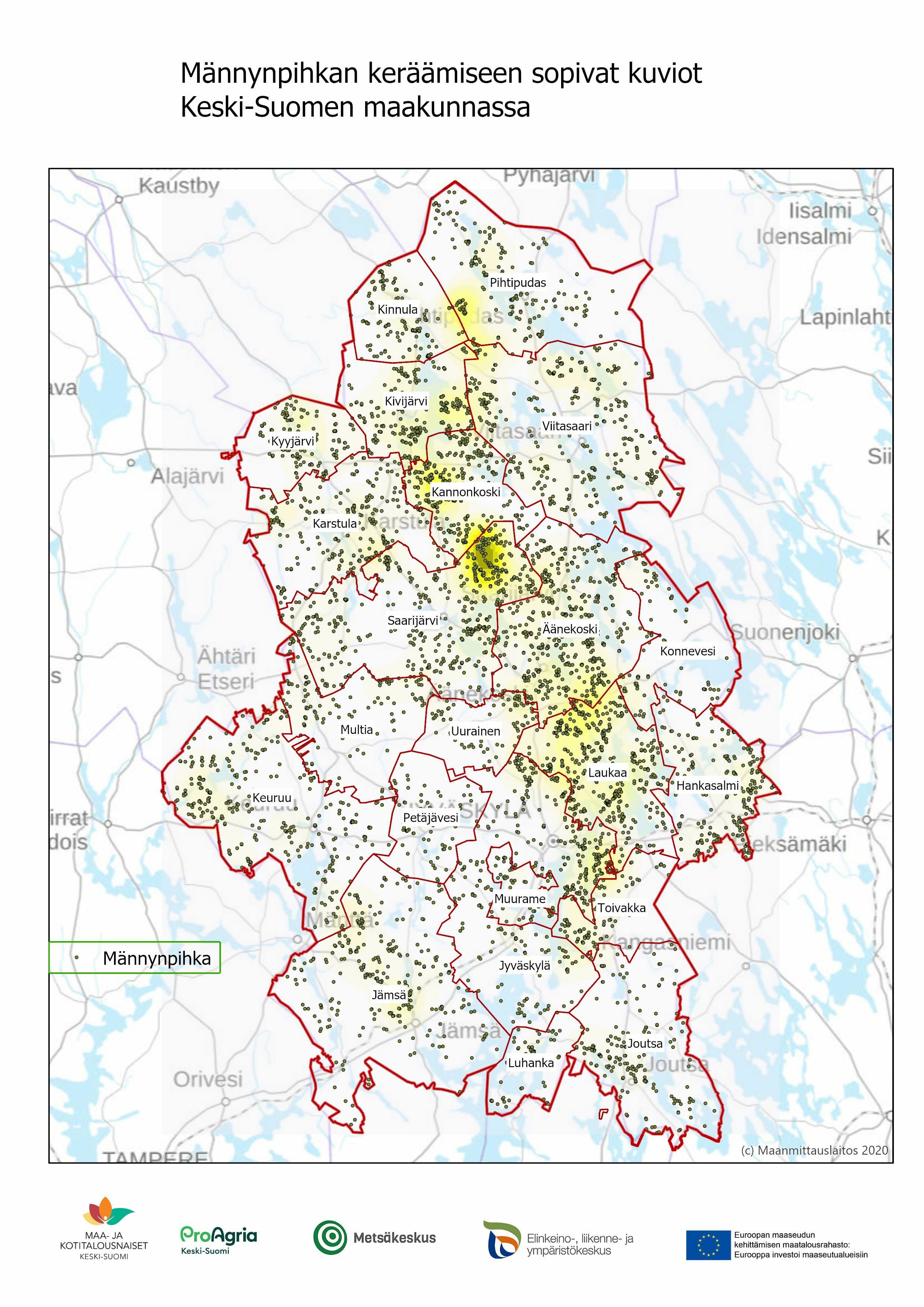 Männynpihkan keräysalueet