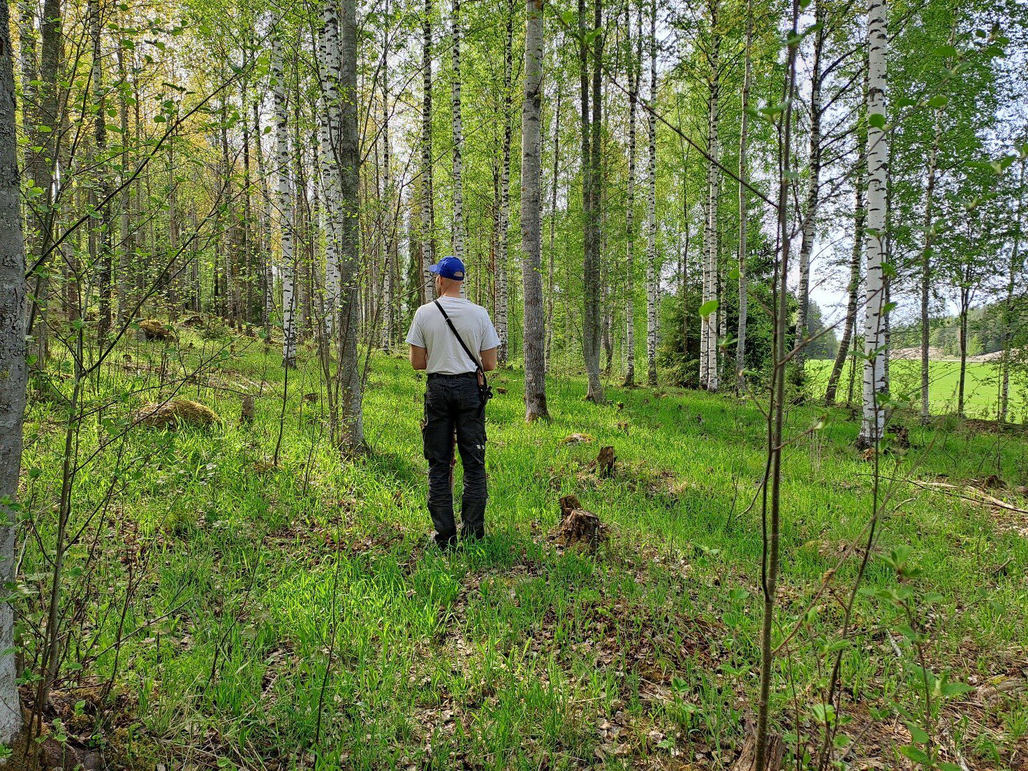 Seppälän tilan luonnonlaitumia