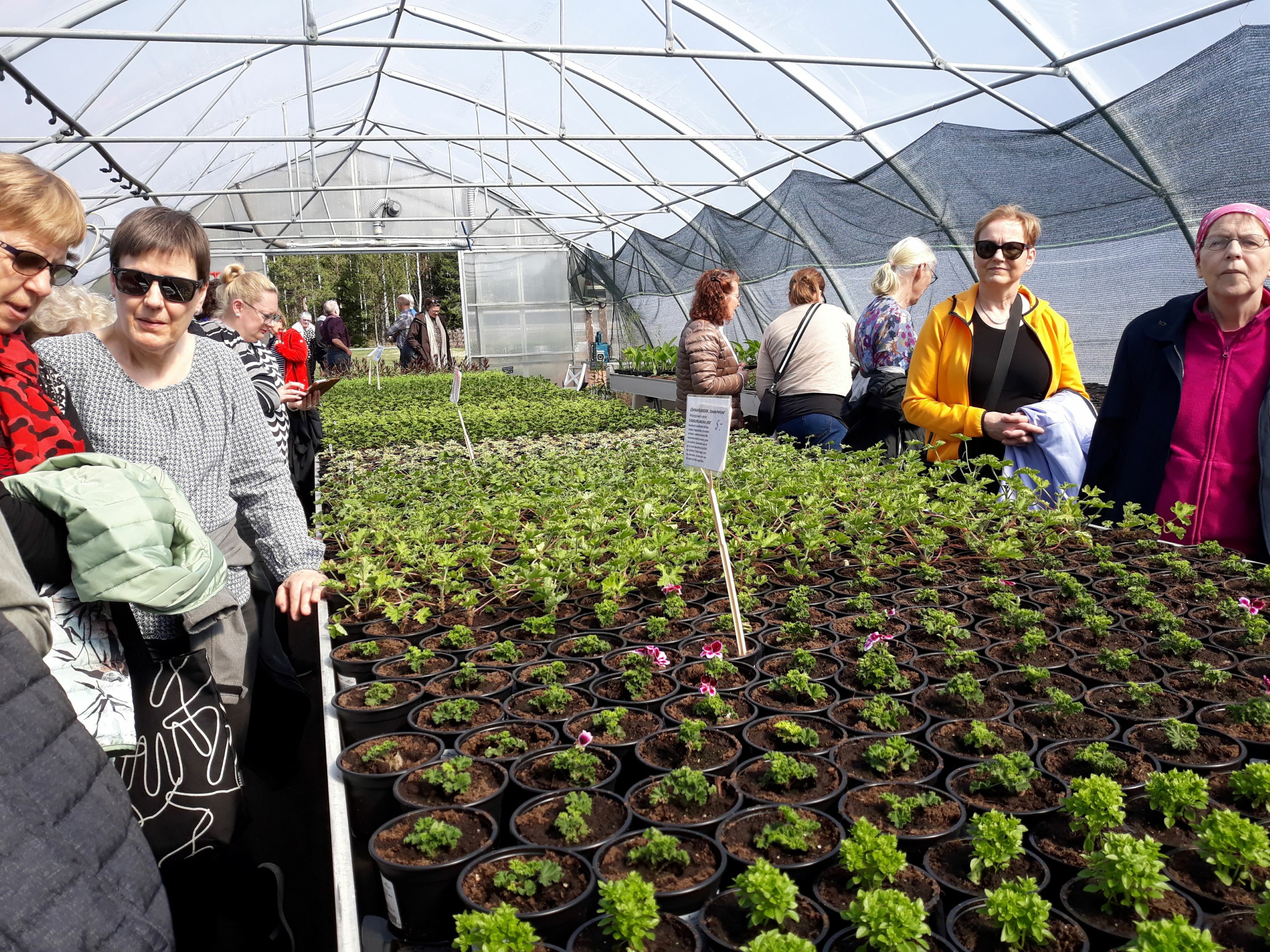 Tammen yrttitilalla vierailemassa