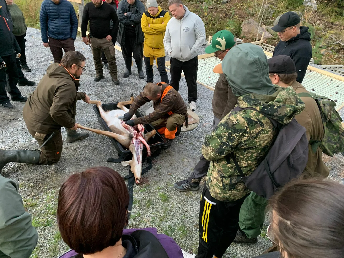 Ihmisia ja peuran suolistus