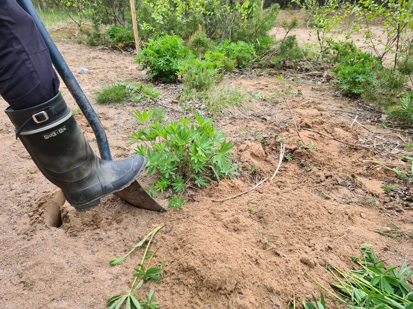 Saappaat jalkaa TYH Ypaiva joka jattaa jaljen