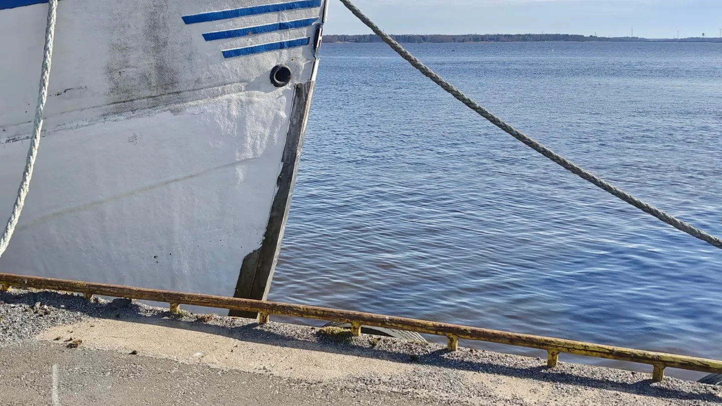 Uutiskirjeen kuvat 18