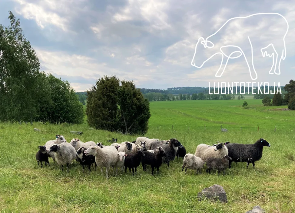 Luontotekoja terhi ajosenpaa