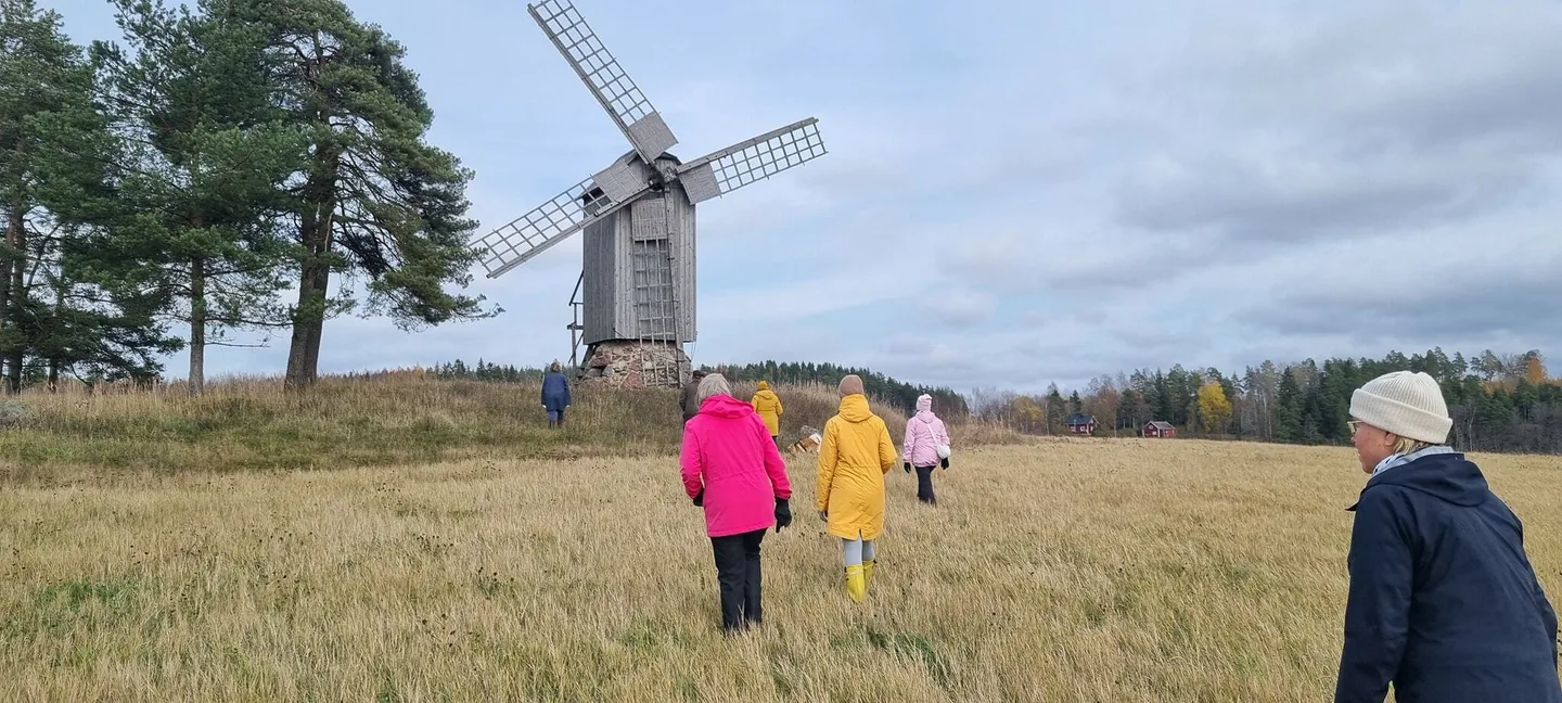 Maisemakavely Auli Hirvonen
