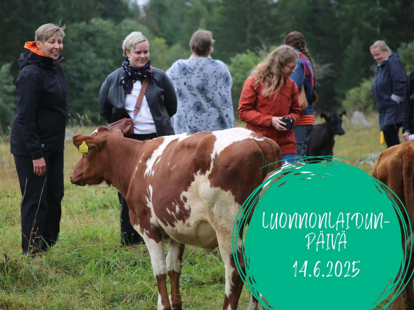 Hymyileviä ihmisiä katselee nautoja luonnonlaitumella kuva Leena Lahdenvesi-Korhonen