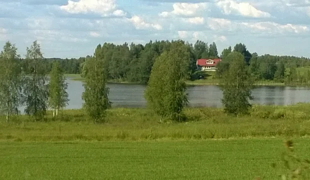 Vihermassaa suojavyöhykkeellä