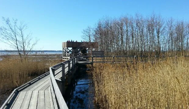 Mkn maisemablogi kuvasannaseppala