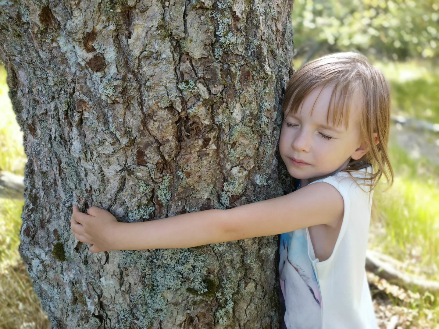 Pikkulapsi_halaa_puuta_kuva Liisa_Hyttinen