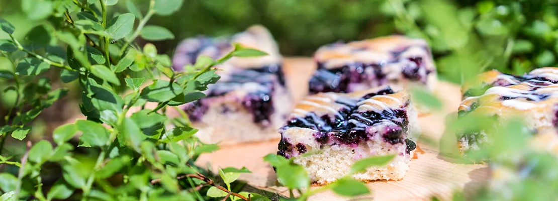 MKN maistuvaa meilta ja muualta