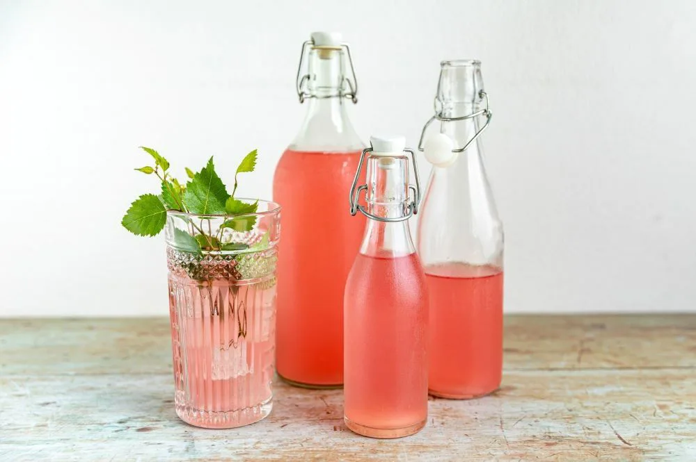 Raparperijuomaa ja koivunlehtiä lasissa, raparperijuomaa pulloissa