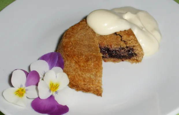 Mkn vinkitjateemat maakuntaruoka mustikkakukko