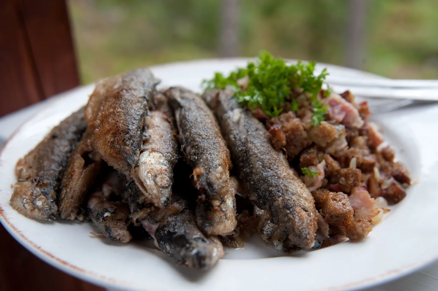 Kalakuvatjouni ranta 169