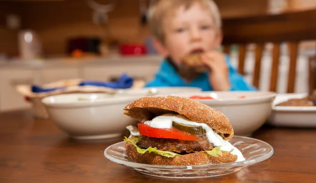 Maistametsa syyshampurilaiset teppojohansson mg 8234