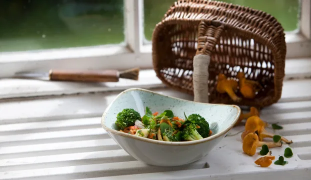 Mkn artikkeli wokki kuva timo viljakainen maa jakotitalousnaiset 4