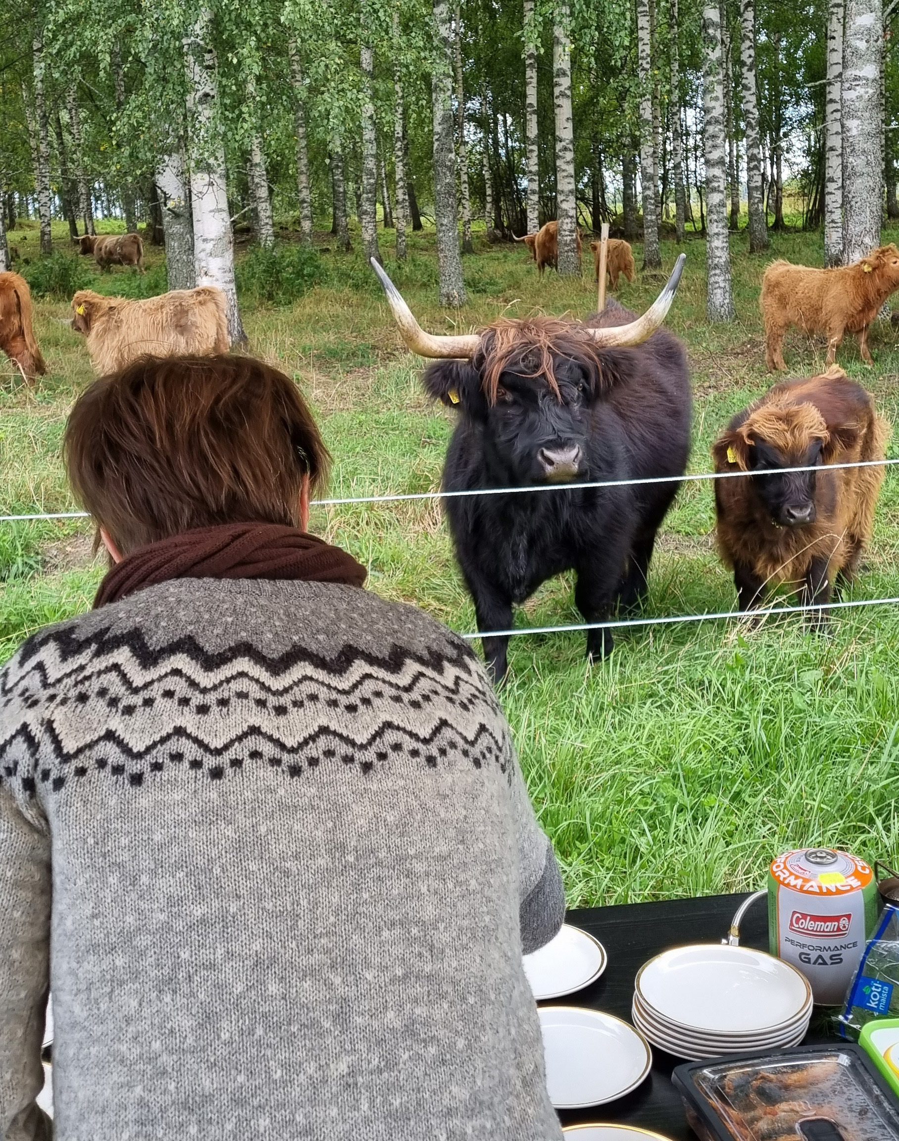Kokkausta luonnon helmassa