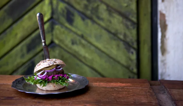 Mkn artikkeli riistapurilainen vaaka ruokaneuvot kuvamaajakotitalousnaiset timoviljakainen 6