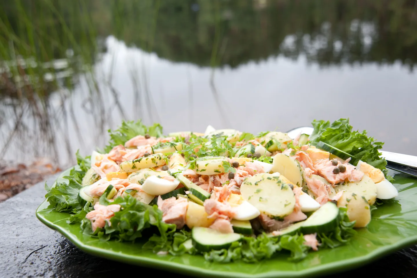 Kalakuvatjouni ranta 211